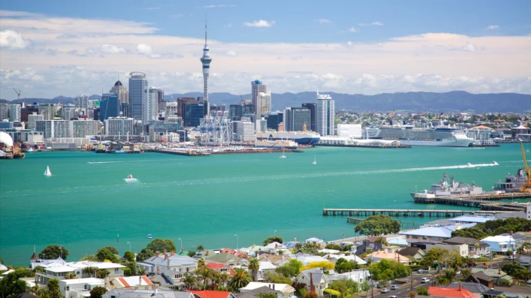 Weed in Auckland (2026): Laws, Local Practice, and Visitor Awareness